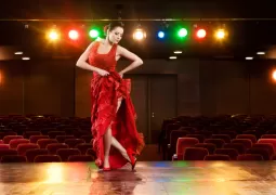 flamenko kursu fiyatları