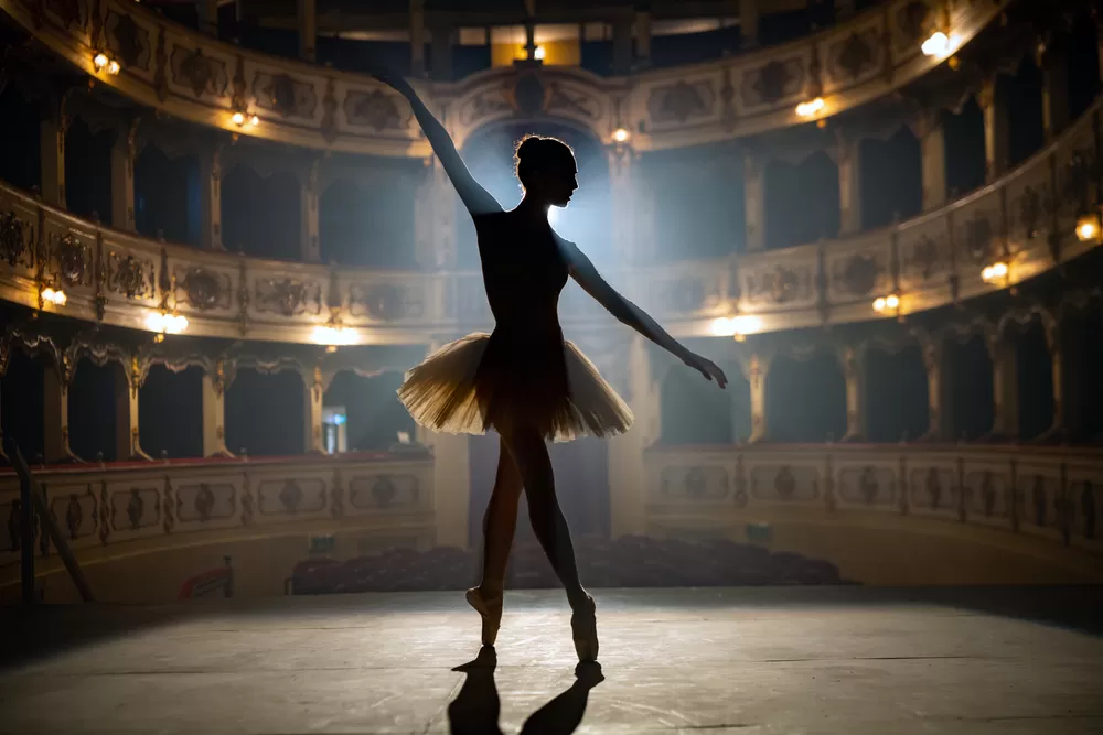 Konservatuvara Hazirlik Kursu Kariyer Koclugu 3