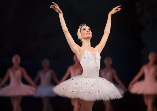 yetişkinler için bale eğitimi