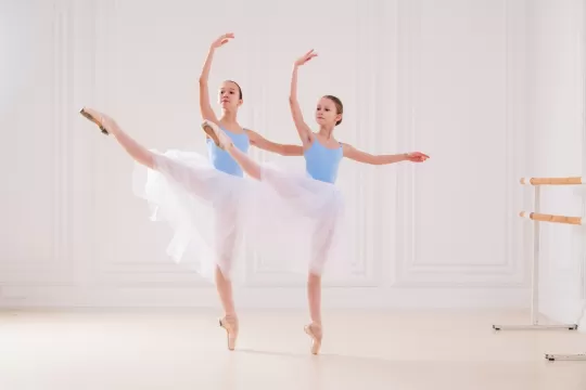 Görsel ALT Başlığı