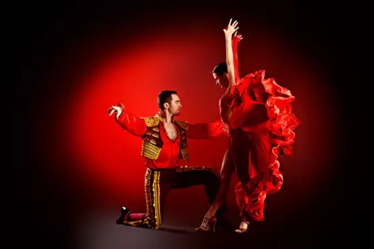 en iyi dans kursları erenkoy